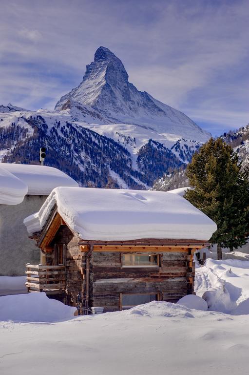 Chalet Alpoase Zermatt Ruang foto